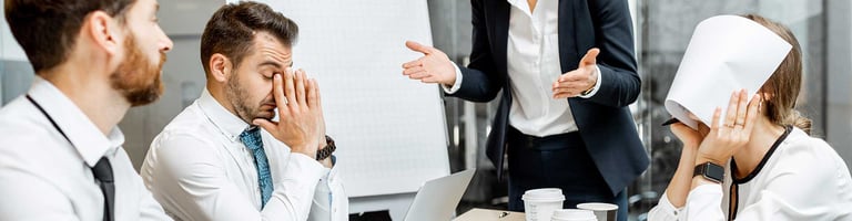 Probleme bei der ERP Software Einführung