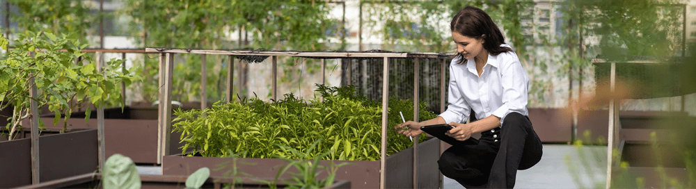essential sustainability reporting standards