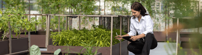 wesentliche Standards der Nachhaltigkeitsberichterstattung