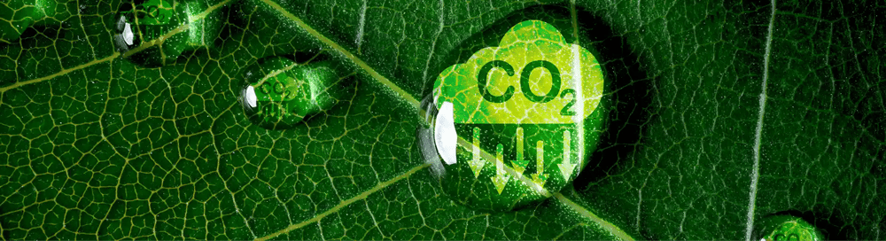 The Impact of CO2 Reduction on Supply Chain Management