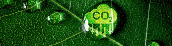 Understanding the Impact of CO2 Reduction on Supply Chain Management image