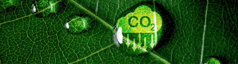 The Impact of CO2 Reduction on Supply Chain Management
