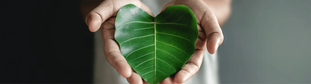 Corporate Sustainability Reporting Directive