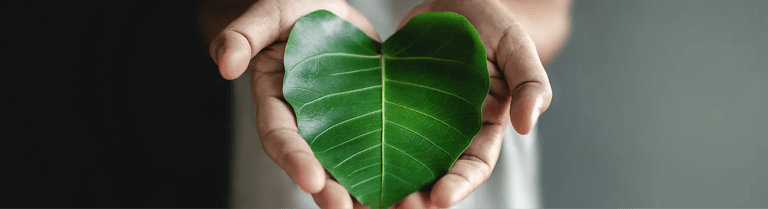 Corporate Sustainability Reporting Directive