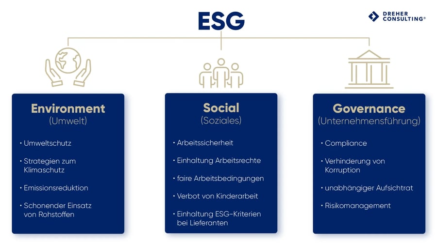 Nachhaltigkeit Glossar Dreher Consulting