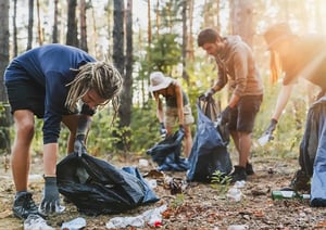 Sustainability and the Circular Economy image