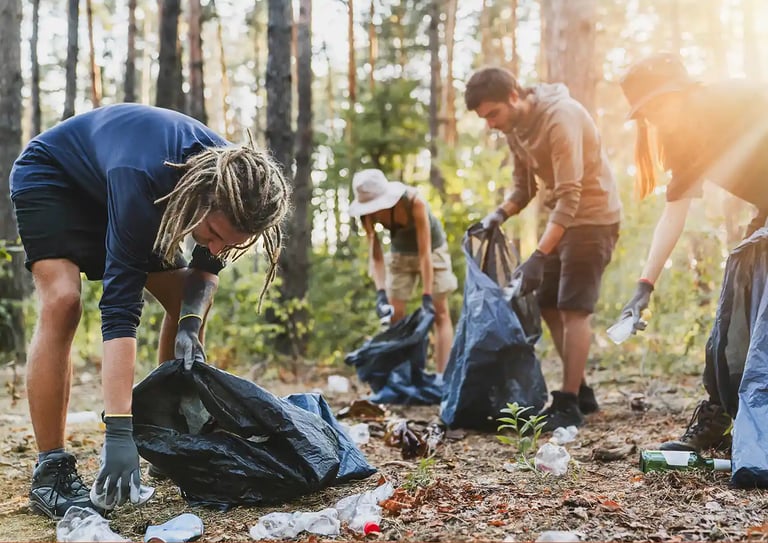 Sustainability and the circular economy