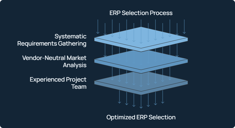 ERP-AuswahlprozessEN