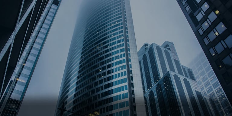 Finance-erp-sector