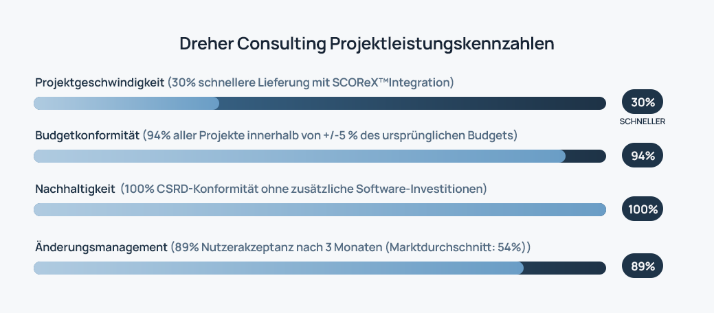 ProjektleistungskennzahlenGER
