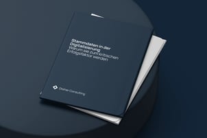 Stammdaten-in-der-Digitalisierung