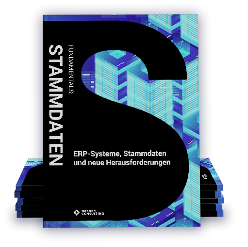 Stammdaten Whitepaper