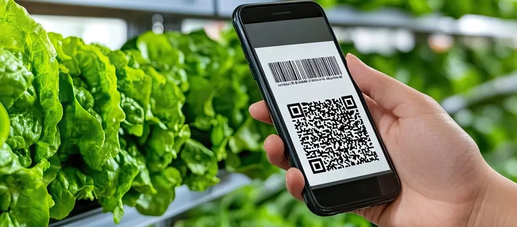 Sustainability-food-QRcodes