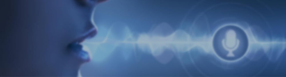 How does pick-by-voice work?