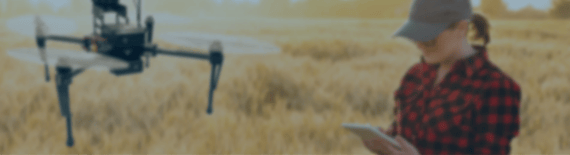 Wie Sie Ihre Innovationsfähigkeit erhöhen image