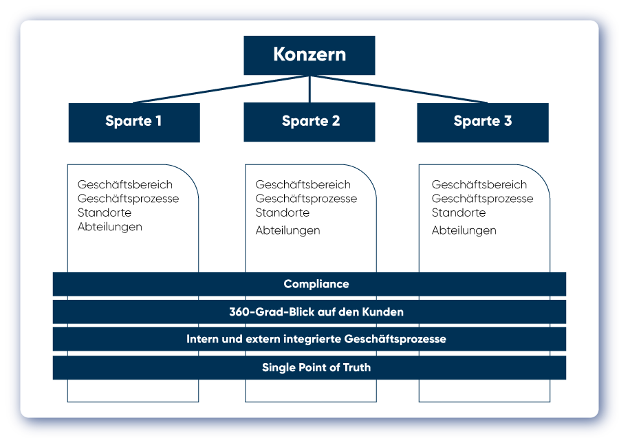 Treiber der Stammdatenqualität und ERP-Einführung