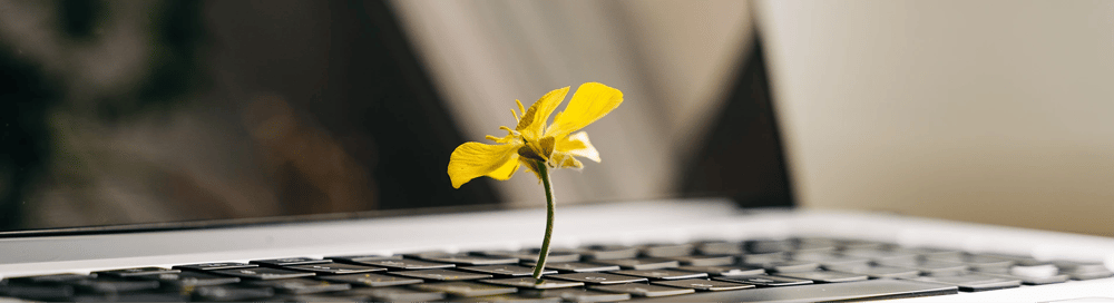 A.I. can improve sustainability for businesses