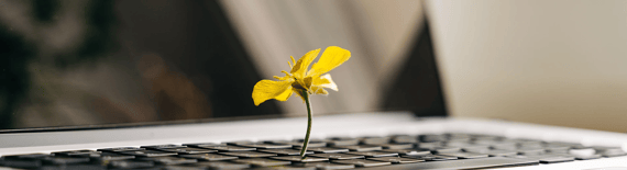 A.I - and how it can support Sustainability in Businesses image