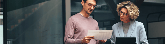 Due Diligence: Operations, Governance & Strategy image