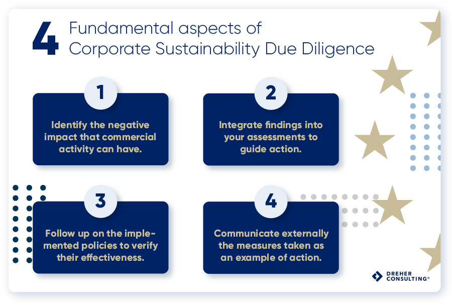 the four fundamental aspects of corporate sustainability due diligence