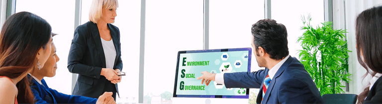 What is an ESG Strategy