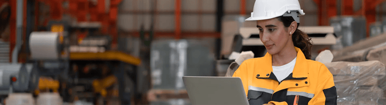 ERP-Beratung erklärt