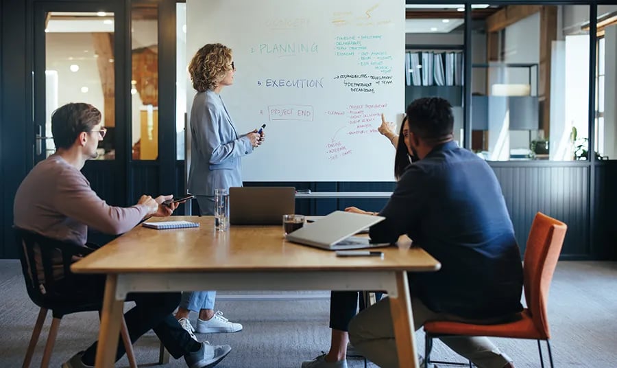 ERP Consultants discussing a project plan