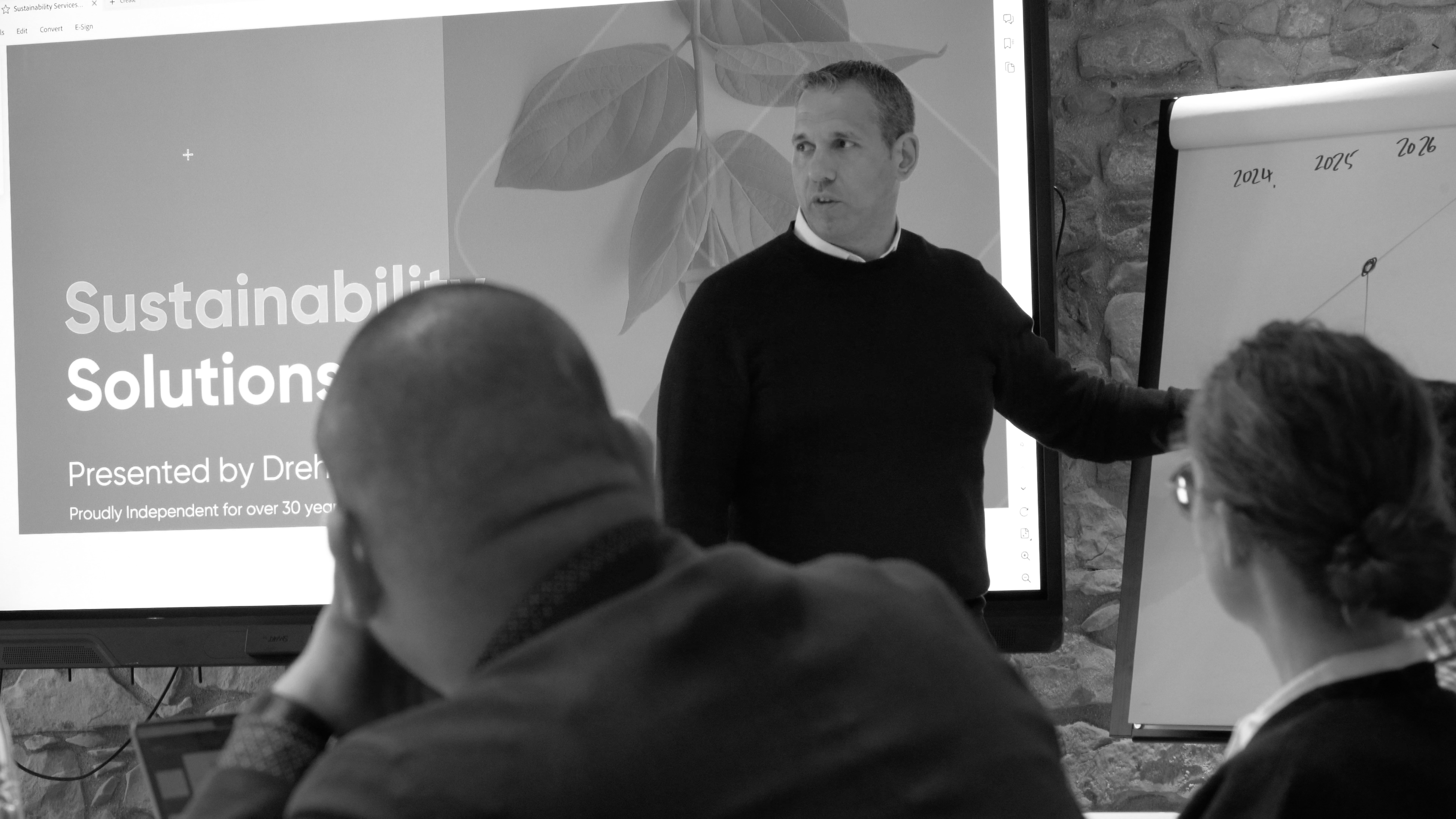 Sustainability Services Dreher Consulting