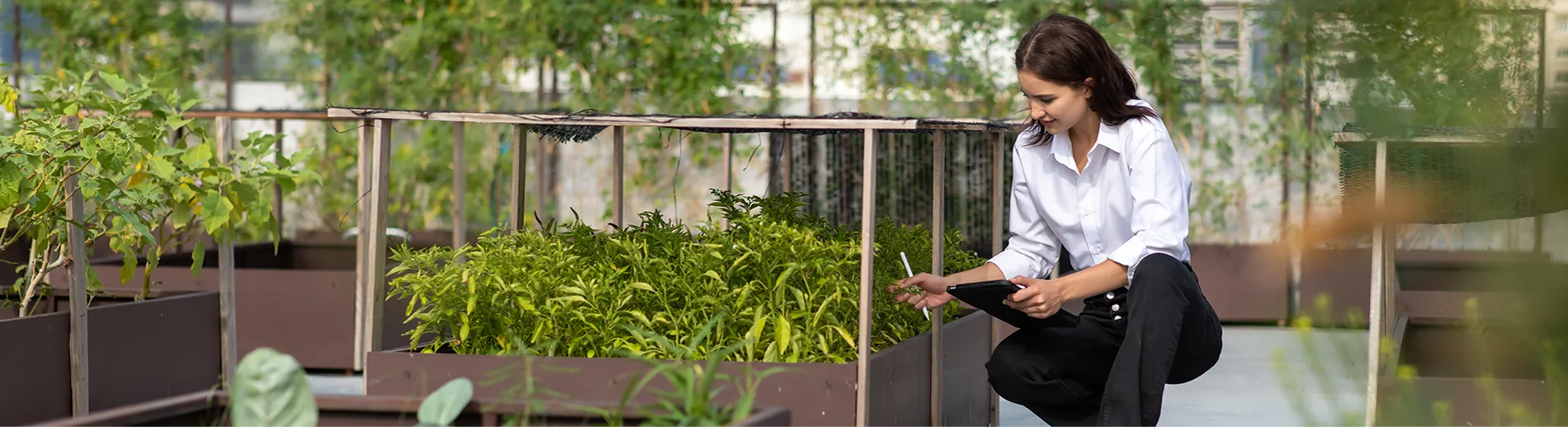 General Reporting The 12 Essential Sustainability Reporting Standards for Businesses – DC